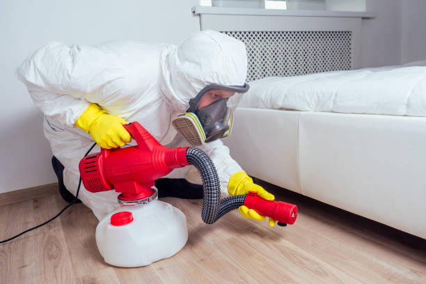 Trusted Spencer, IA Pest Control Experts