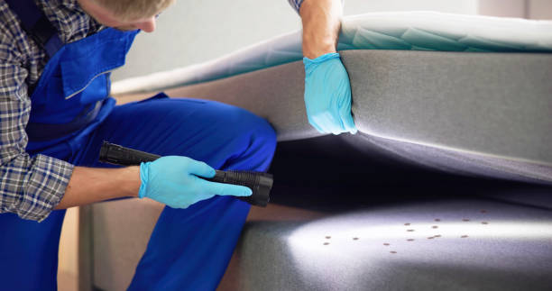 Best Pest Control for Homes  in Spencer, IA