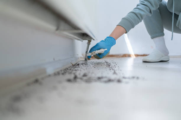 Best Emergency Pest Control  in Spencer, IA